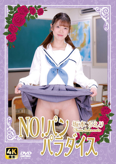 NO!パン　パラダイス　坂本ちえり