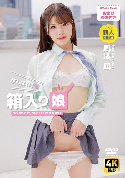 がんばれ！箱入り●　風澤凪
